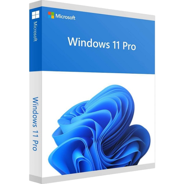 Windows 11 Pro